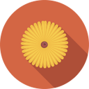 15. Екологічне